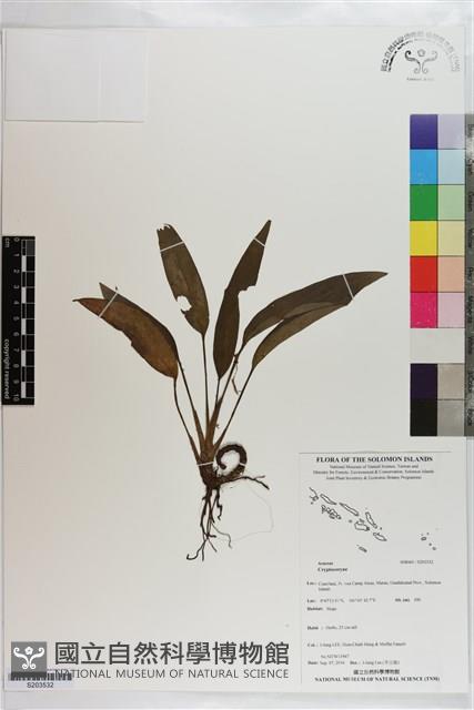 登錄號:S203532藏品圖，第1張