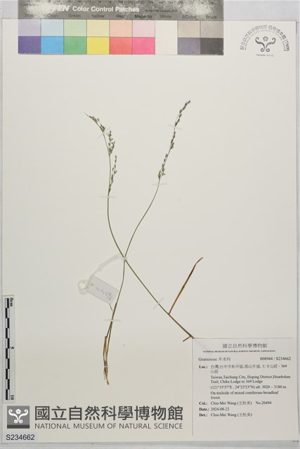 登錄號:S234662藏品圖，第1張