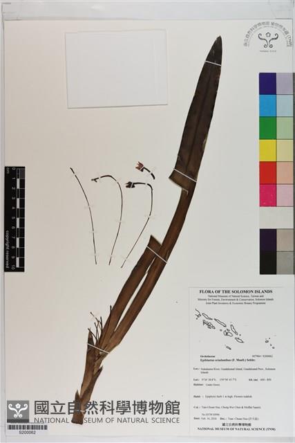 登錄號:S200062藏品圖，第1張