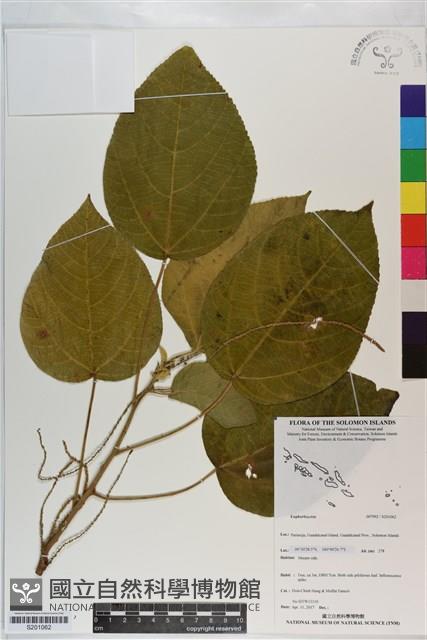 登錄號:S201062藏品圖，第1張