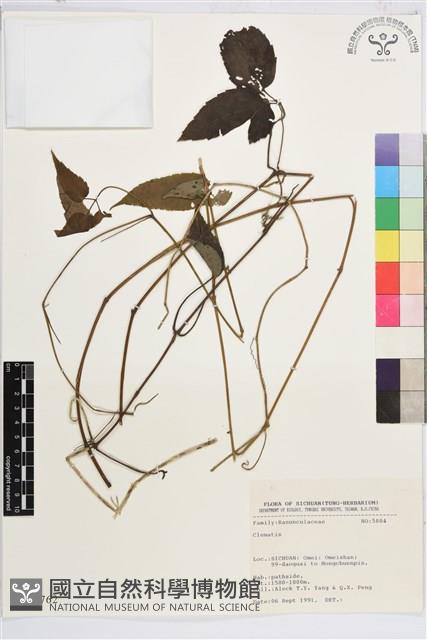 登錄號:S025762藏品圖，第1張