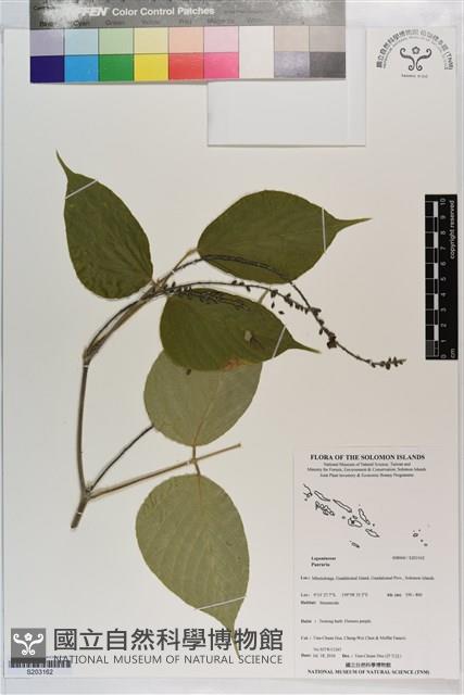 登錄號:S203162藏品圖，第1張