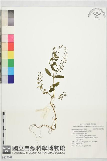 水苦賈藏品圖，第1張