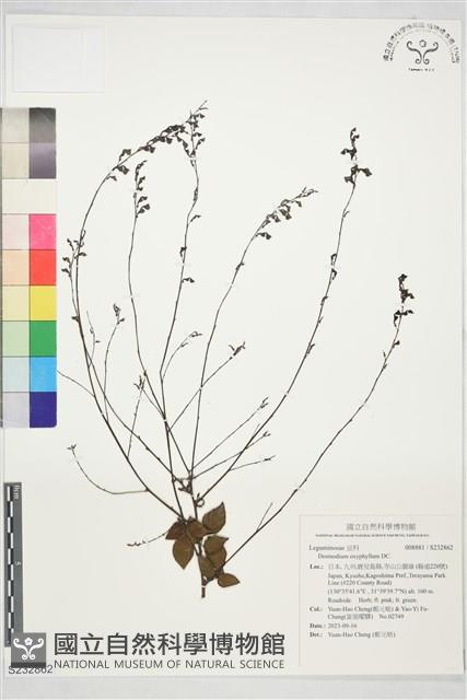 登錄號:S232862藏品圖，第1張