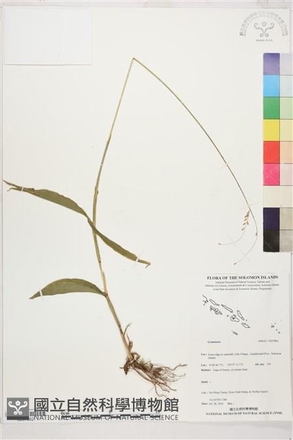 登錄號:S207862藏品圖，第1張