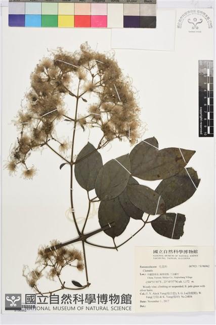 登錄號:S196962藏品圖，第1張