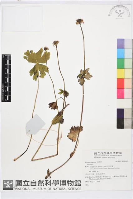 登錄號:S136962藏品圖，第1張