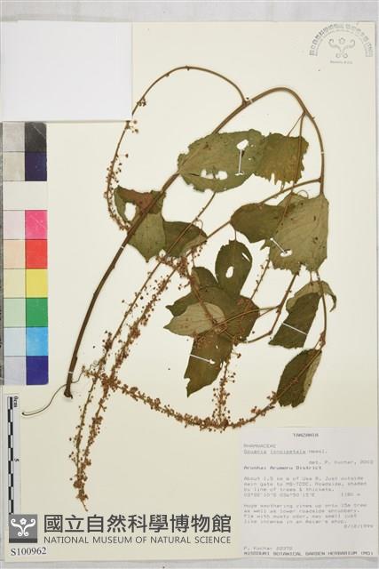 登錄號:S100962藏品圖，第1張