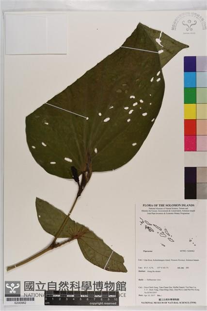 登錄號:S200962藏品圖，第1張