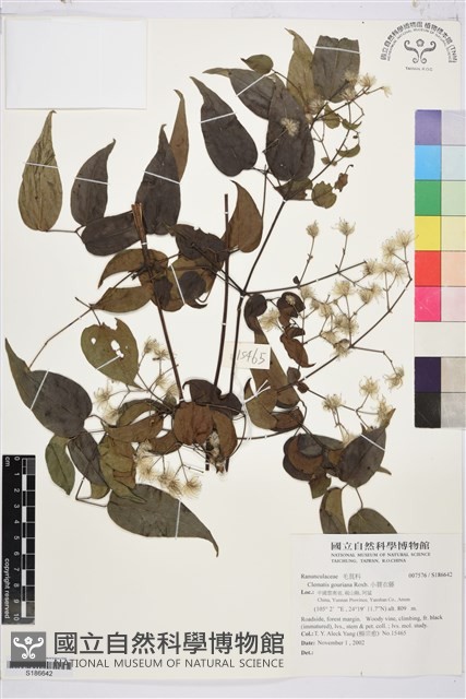 登錄號:S186642藏品圖，第1張