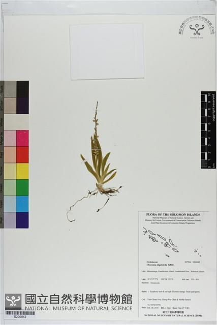 Accession Number:S200042 Collection Image