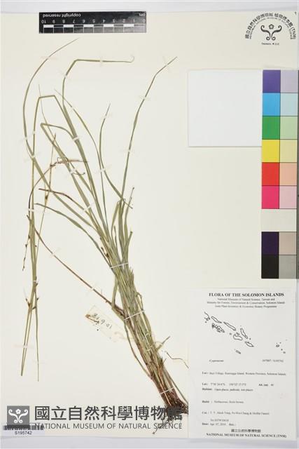 登錄號:S195742藏品圖，第1張