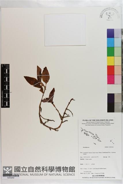 登錄號:S203242藏品圖，第1張