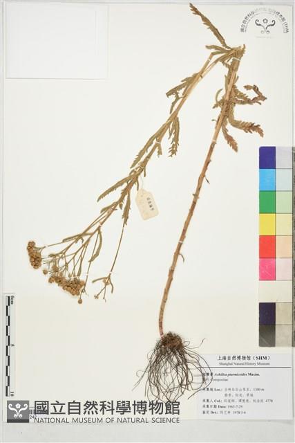 登錄號:S197242藏品圖，第1張