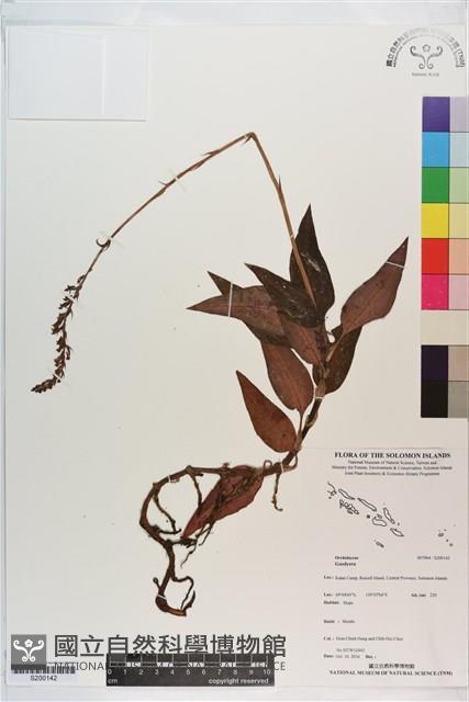 登錄號:S200142藏品圖，第1張