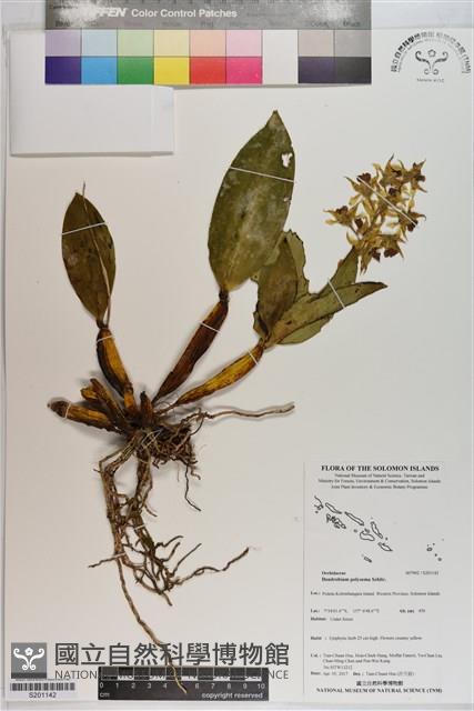 登錄號:S201142藏品圖，第1張