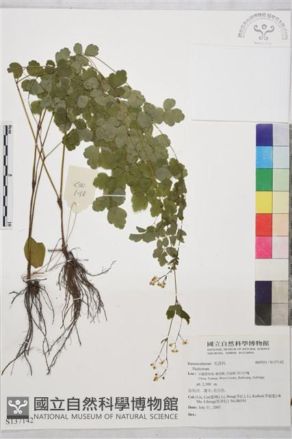 登錄號:S137142藏品圖，第1張