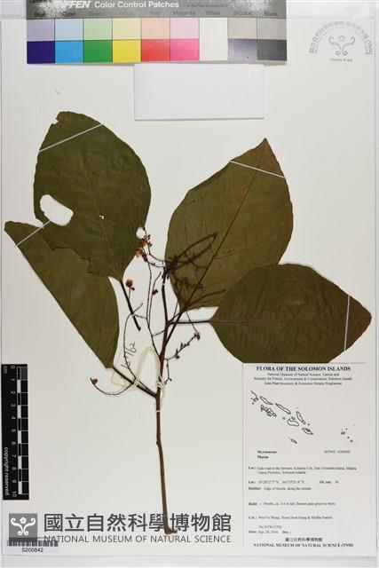 登錄號:S200842藏品圖，第1張