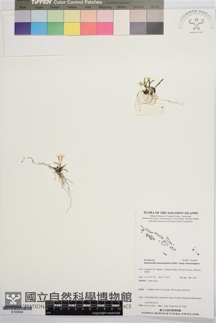 登錄號:S195842藏品圖，第1張