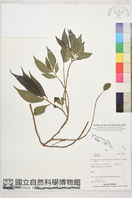 登錄號:S207842藏品圖，第1張