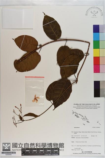 登錄號:S200942藏品圖，第1張