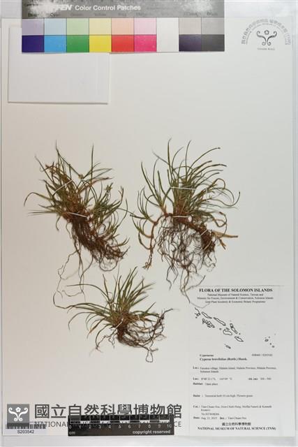 登錄號:S203542藏品圖，第1張