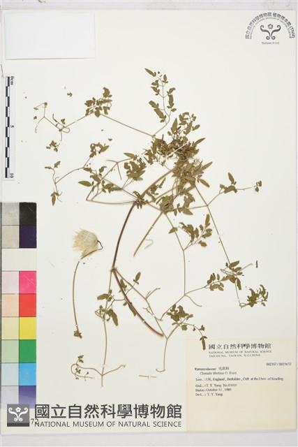 登錄號:S025672藏品圖，第1張