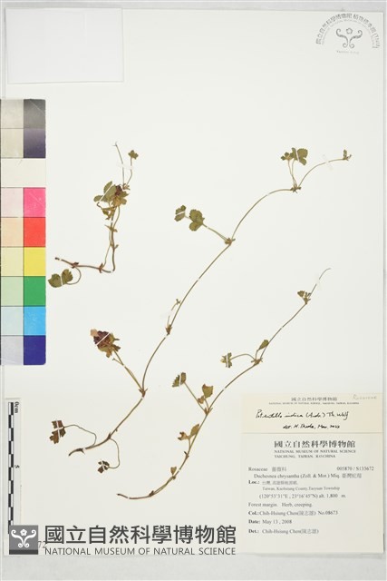 登錄號:S133672藏品圖，第1張