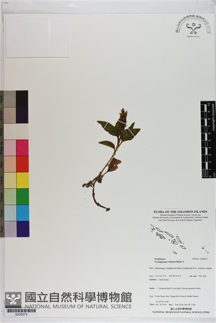 登錄號:S200072藏品圖，第1張