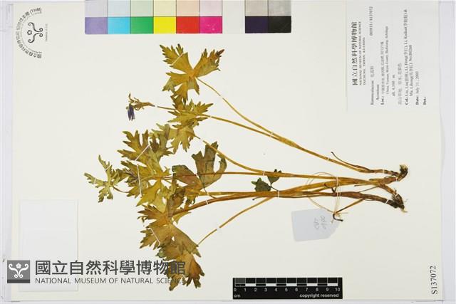 登錄號:S137072藏品圖，第1張