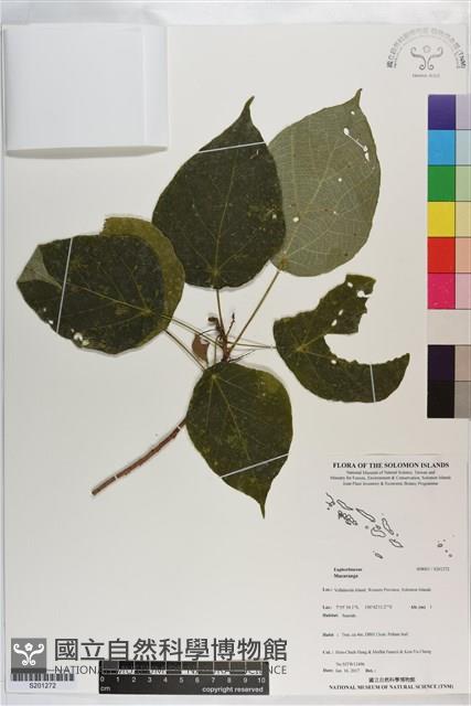 登錄號:S201272藏品圖，第1張