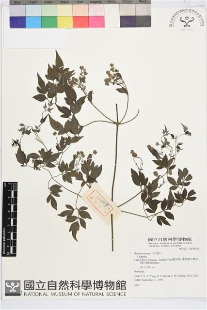 登錄號:S074272藏品圖，第1張