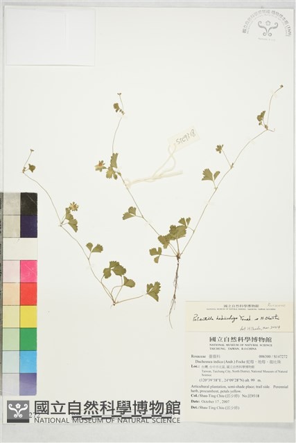 登錄號:S147272藏品圖，第1張