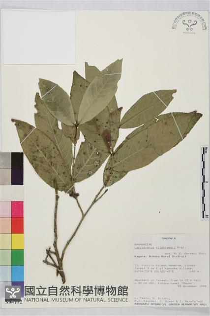 登錄號:S094172藏品圖，第1張