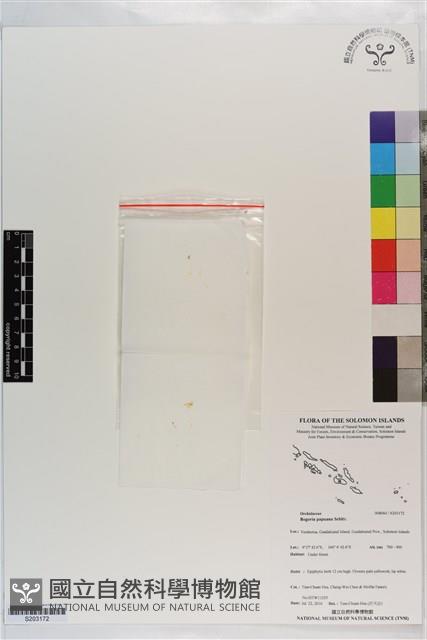 登錄號:S203172藏品圖，第1張