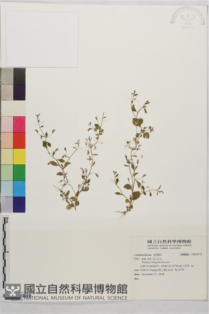 登錄號:S204372藏品圖，第1張