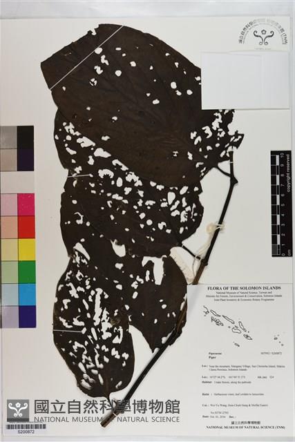 登錄號:S200872藏品圖，第1張