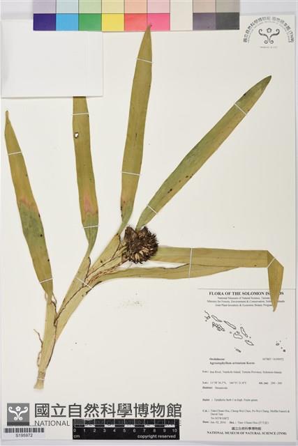 登錄號:S195972藏品圖，第1張