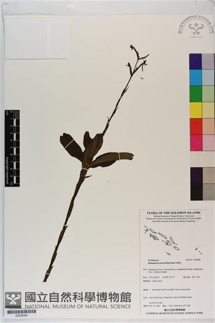 登錄號:S200082藏品圖，第1張