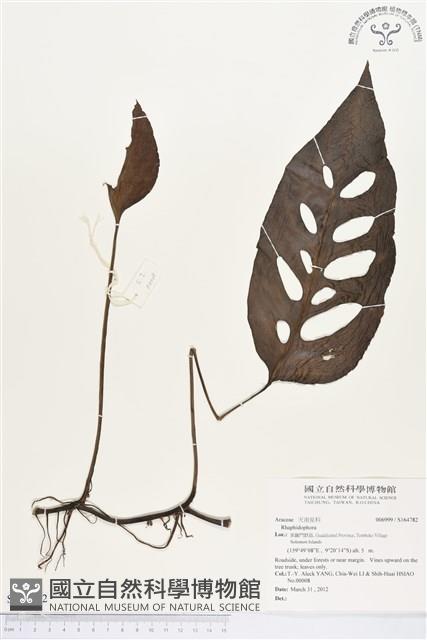 登錄號:S164782藏品圖，第1張