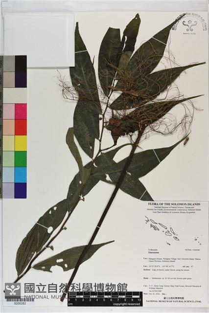 登錄號:S200282藏品圖，第1張