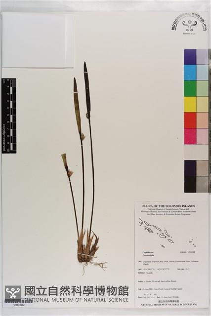 登錄號:S203282藏品圖，第1張