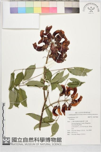 登錄號:S227482藏品圖，第1張