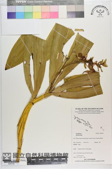 登錄號:S200182藏品圖，第1張