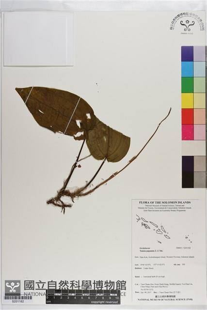 登錄號:S201182藏品圖，第1張