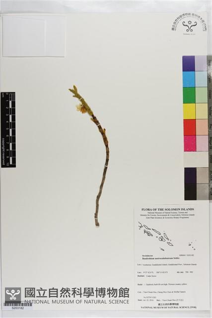 登錄號:S203182藏品圖，第1張