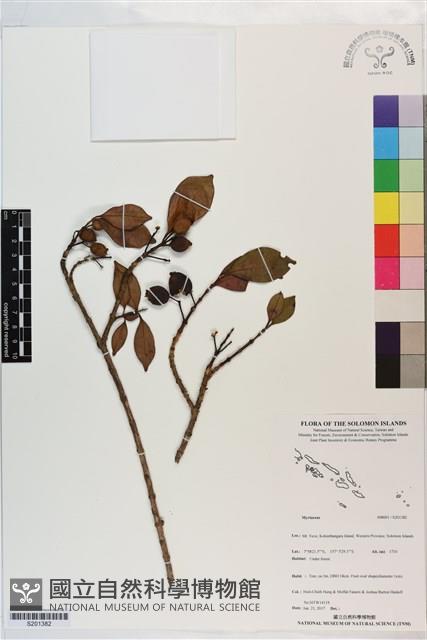 登錄號:S201382藏品圖，第1張