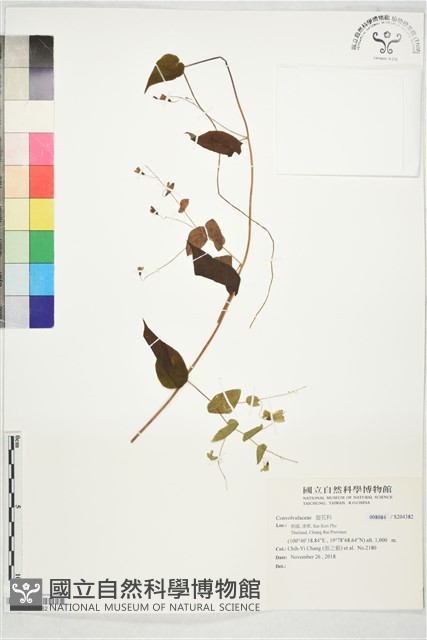 登錄號:S204382藏品圖，第1張