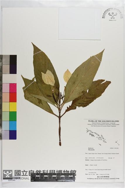 登錄號:S203382藏品圖，第1張