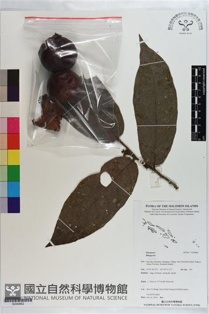 登錄號:S200882藏品圖，第1張